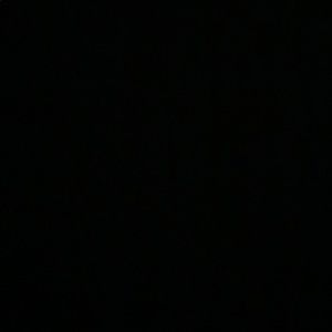 Meet your Posher, Camryn